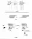 Fig. 03 - Self-adjusting tiered caching system to optimize traffic performance and origin offload