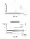 Fig. 06 - Packet extracting apparatus and method
