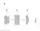 Fig. 03 - Time-managed electronic mail messages