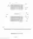 Fig. 17 - Offline methods for authentication in a client/server authentication system