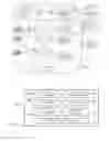 Fig. 02 - Distributed server architecture for supporting a predictive content pre-fetching service for mobile device users
