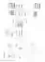 Fig. 15 - Central station connectivity