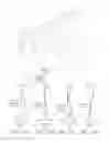 Fig. 08 - OPTICAL IMAGING LENS AND ELECTRONIC DEVICE COMPRISING THE SAME