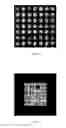 Fig. 08 - Microlens array imaging device and imaging method