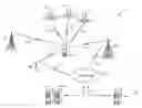 Fig. 01 - Changing camera parameters based on wireless signal information