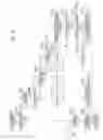 Fig. 13 - Controlling zoom magnification based on image size