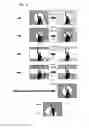 Fig. 08 - Image displaying apparatus and image displaying method