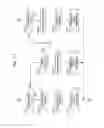 Fig. 19 - Image displaying apparatus and image displaying method