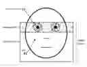 Fig. 01 - Efficient method and system for the acquisition of scene imagery and iris imagery using a single sensor