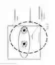 Fig. 29 - Efficient method and system for the acquisition of scene imagery and iris imagery using a single sensor