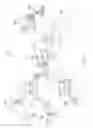 Fig. 02 - Relational display of images