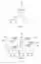 Fig. 07 - Relational display of images
