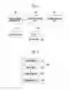 Fig. 02 - SUPER MULTI-VIEW IMAGE SYSTEM AND DRIVING METHOD THEREOF