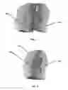 Fig. 05 - Apparatus for generation of three-dimensional digital data representative of head shapes
