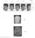 Fig. 01 - Three-dimensional image generation method and apparatus