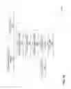 Fig. 12 - IMAGE ANALYSIS FOR ATTENDANCE QUERY EVALUATION