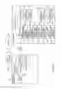 Fig. 10 - ELECTRONIC DEVICE, METHOD, AND STORAGE MEDIUM