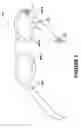 Fig. 05 - Wearable computing device with indirect bone-conduction speaker