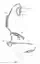 Fig. 05 - Ergonomic earpiece and attachments