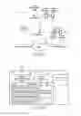 Fig. 13 - WIRELESS COMMUNICATION APPARATUS, CONNECTION CONTROL METHOD, AND NON-TRANSITORY RECORDING MEDIUM RECORDING CONNECTION CONTROL PROGRAM