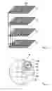 Fig. 04 - 3D sectorized path-loss models for 3D positioning of mobile terminals