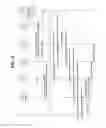 Fig. 10 - Method for controlling access of terminal to home (e)NodeB