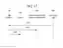 Fig. 12 - METHOD FOR SEARCHING WIRELESS LAN AND METHOD FOR TRANSFERRING WIRELESS LAN SEARCH INFORMATION