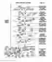 Fig. 45 - Machine for Providing a Dynamic Database of Geographic Location Information for a Plurality of Wireless Devices and Process for Making Same