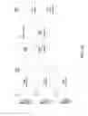 Fig. 05 - Uplink spectrum efficiency