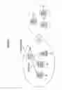 Fig. 30 - USER APPARATUS, COMMUNICATION SYSTEM, AND BACKOFF CONTROL METHOD