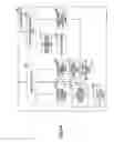 Fig. 35 - USER APPARATUS, COMMUNICATION SYSTEM, AND BACKOFF CONTROL METHOD