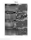 Fig. 06 - ELECTRONIC DEVICE INCLUDING TRANSPARENT AND FLEXIBLE MICA SUBSTRATE AND METHOD FOR MANUFACTURING THE SAME