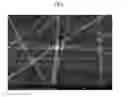 Fig. 04 - Transparent electrodes and electronic devices including the same
