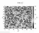 Fig. 09 - Transparent electrodes and electronic devices including the same