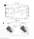 Fig. 12 - Method of manufacturing a flexible and/or stretchable electronic device