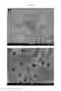 Fig. 19 - Method of manufacturing a flexible and/or stretchable electronic device