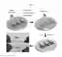 Fig. 21 - Method of manufacturing a flexible and/or stretchable electronic device