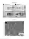 Fig. 32 - Method of manufacturing a flexible and/or stretchable electronic device