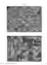 Fig. 45 - Method of manufacturing a flexible and/or stretchable electronic device