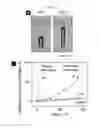 Fig. 49 - Method of manufacturing a flexible and/or stretchable electronic device