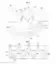 Fig. 06 - Display apparatus
