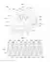 Fig. 11 - Display apparatus