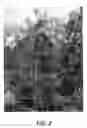 Fig. 03 - Apple tree named 'Inolov'