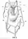 Fig. 09 - Sheathed Wick, Self Siphoning Plant Feeding Device, System and Method