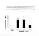 Fig. 10 - Method For Creating Endometriotic Cells And Endometriosis Model Animal