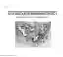 Fig. 12 - Method For Creating Endometriotic Cells And Endometriosis Model Animal