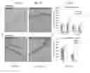 Fig. 06 - Method and Composition for Hypothermic Storage of Placental Tissue