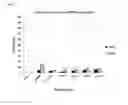 Fig. 03 - Modulation of release rate from microencapsulated pesticides