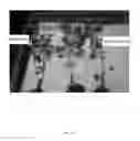 Fig. 22 - Compositions comprising strains and methods of use to suppress the activities and growth of fungal plant pathogens