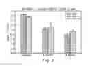 Fig. 03 - CHEWING GUM COMPOSITION COMPRISING A MICRO-ENCAPSULATED FLAVOUR IN A MATRIX COMPRISING PROTEIN